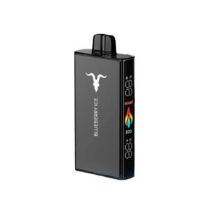 IGNITE V250 – 25,000 Puffs-Rechargeable